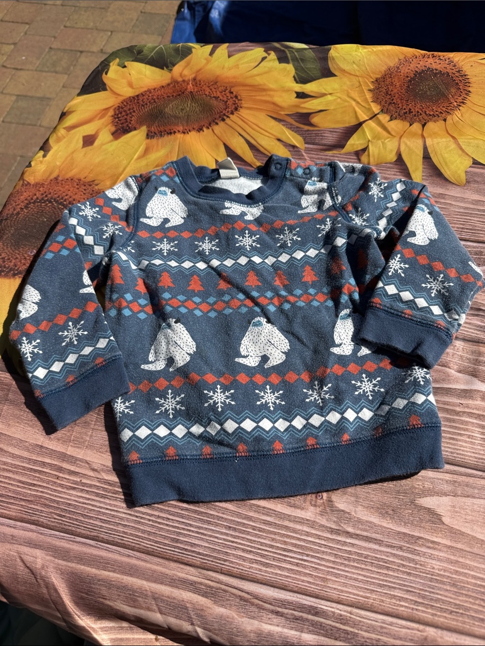 Tucker + Tate Navy Sweatshirt with White Yeti and Rust Fair Isle Accents